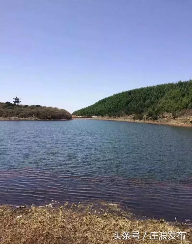 「旅游」魅力庄浪 关山大景区