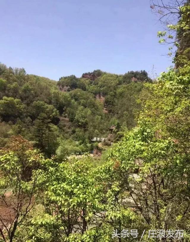 「旅游」魅力庄浪 关山大景区