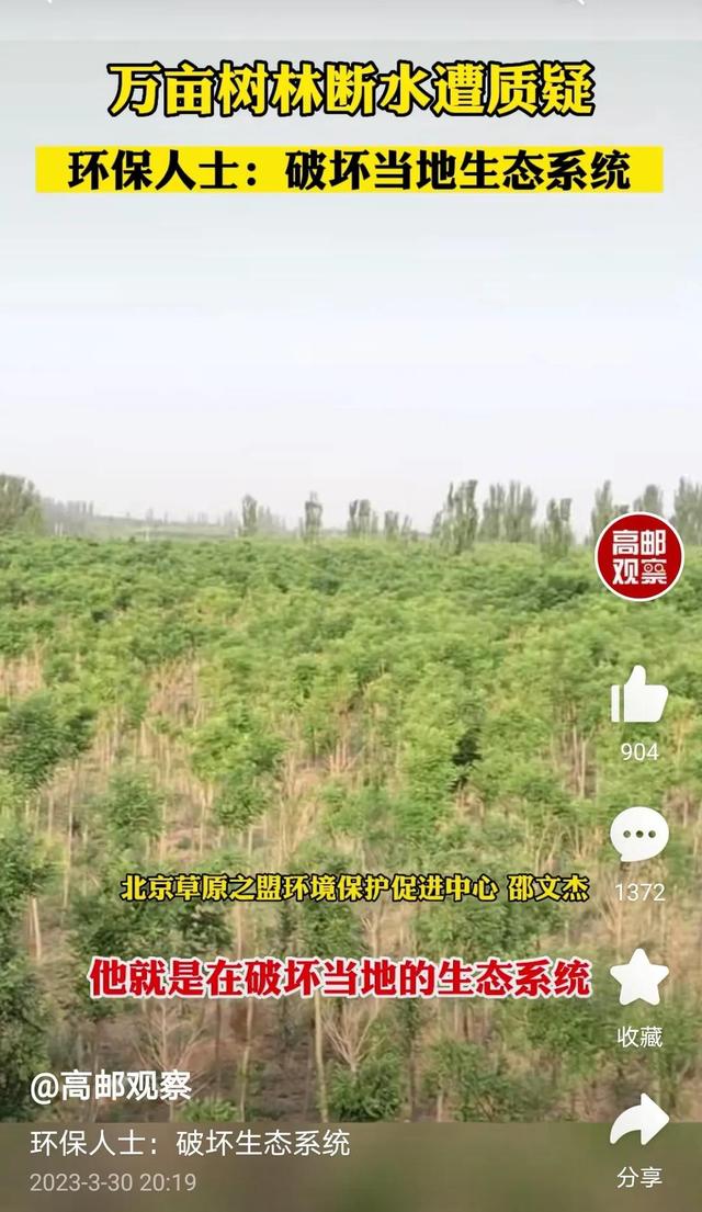 林场下跪后续，专家们纷纷下场了，孙国友19年种树要被彻底抹杀？