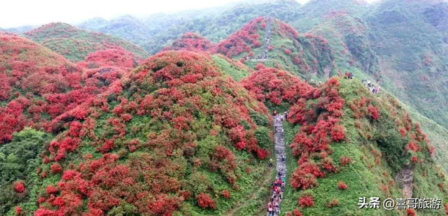 贵州遵义市播州区值得游玩的景点有哪些？自驾游如何安排行程？