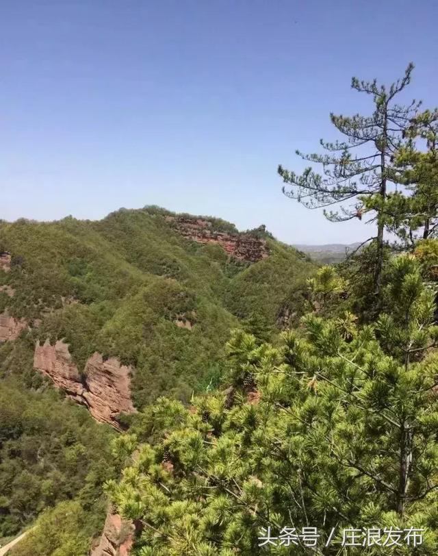 「旅游」魅力庄浪 关山大景区