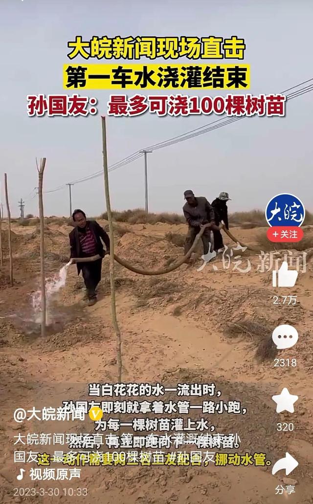 林场下跪后续，专家们纷纷下场了，孙国友19年种树要被彻底抹杀？