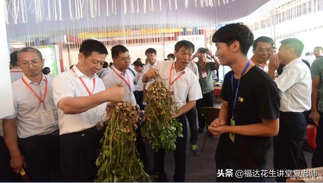 新品种正花6088，可以代替种植的白沙果，你想尝试一下吗