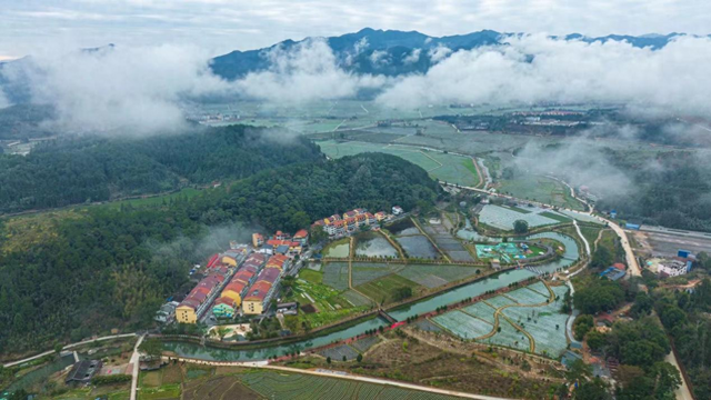 福建三明沙县：小吃闯出大名堂，联动发展谋振兴