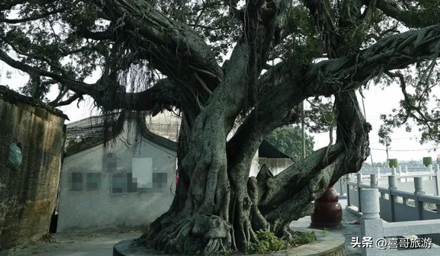 潮阳仙湖风景区，一处充满着历史和文化底蕴的旅游胜地