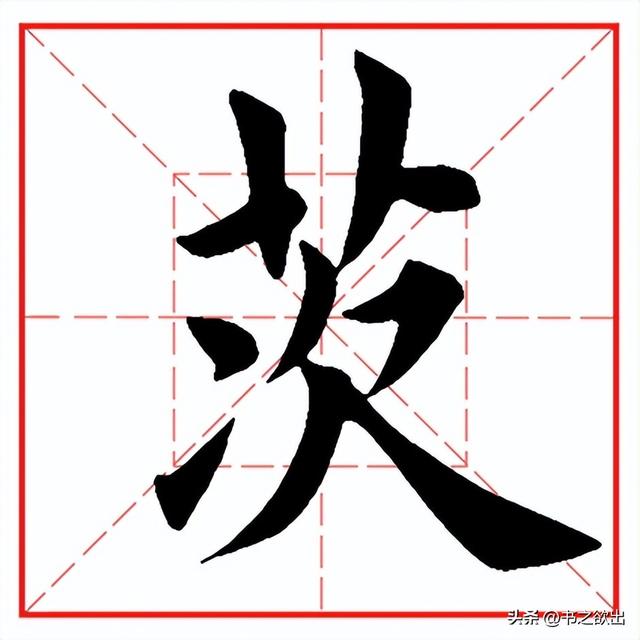 每日一字539：茨