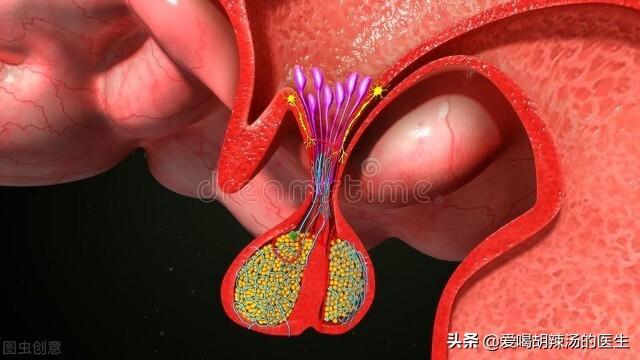 内科学总结：肾上腺相关疾病