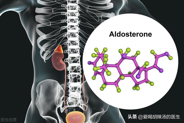 内科学总结：肾上腺相关疾病