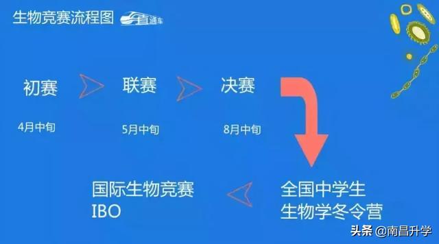 五大学科竞赛，含金量并不同，全面详解来了