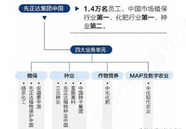 全球最大的5家种子公司，中国一家上榜