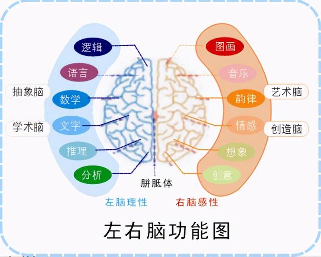 只要八个方法，让你获得清晰的思维能力，保持大脑健康