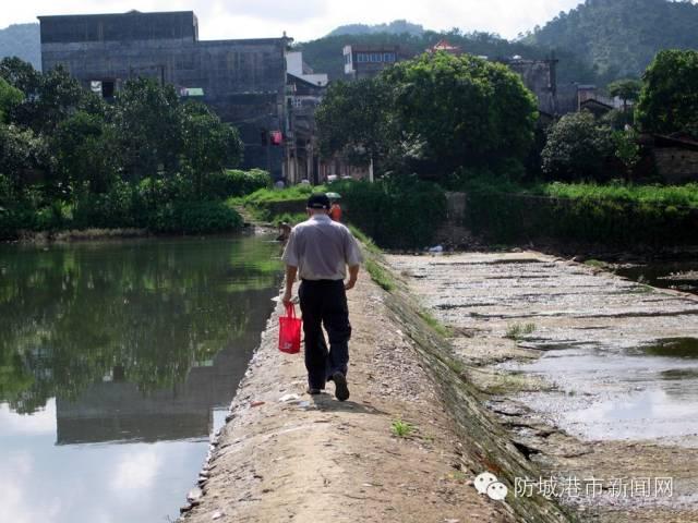 防城港那良镇又出名了！被国家住建部点名……