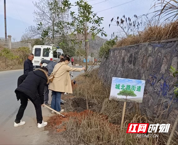 城北街道：开展“携手共建绿色家园”义务植树主题党日活动