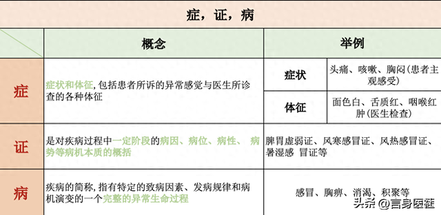 中医入门：辨证论治的三大点，病因、病位和病性