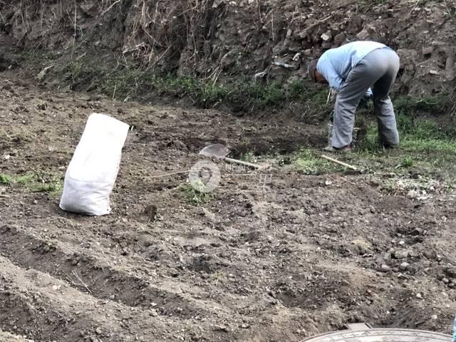 「“世外桃源”还是“城中村”」抚顺阳光丽城小区附近空地变菜地