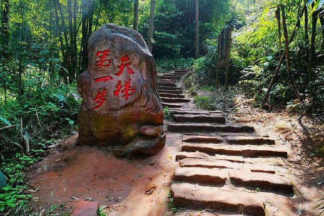 电影《爱情天梯》：6208个台阶的背后，是世俗的偏见与爱的救赎