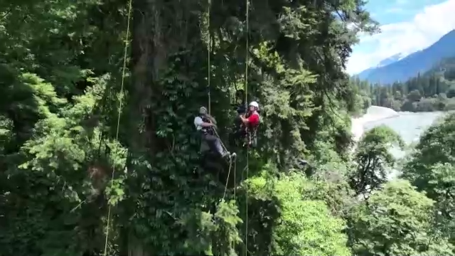 什么是生物多样性？有何保护意义？一起了解