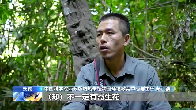 什么是生物多样性？有何保护意义？一起了解