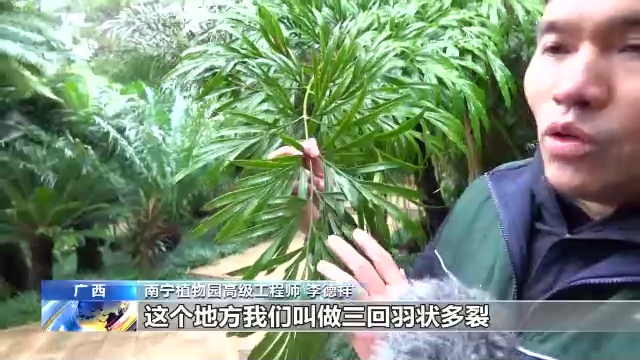 什么是生物多样性？有何保护意义？一起了解