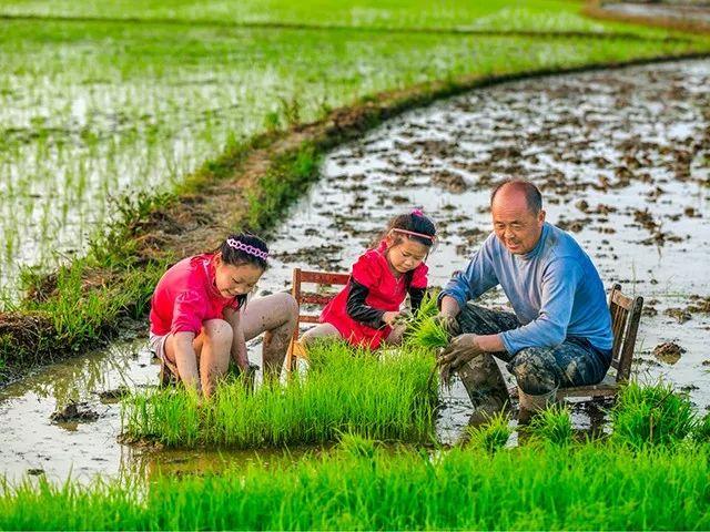 32道传统工序，足足陈酿了15年！这款原浆黄酒进入众筹倒计时