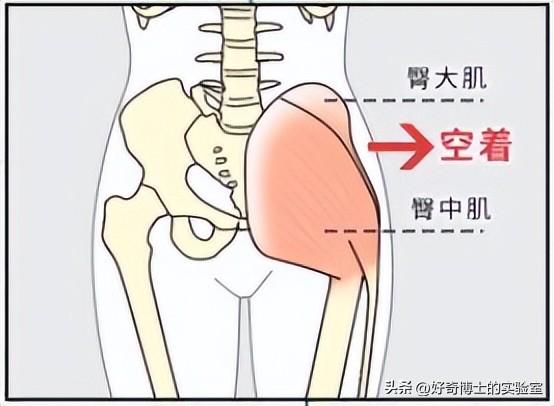 为啥女生的屁股两侧，会凹进去？