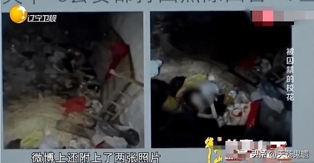 湖北24岁校花被裸身囚禁，与蛇同住场面污秽，幕后黑手曝光引众怒