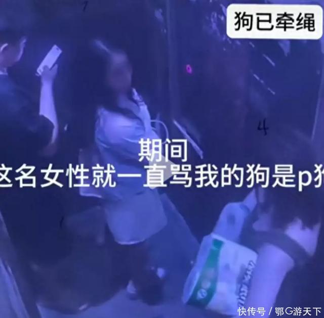 女子因狗被扯衣露胸部后续：无法忍受侮辱，吞安眠药自杀