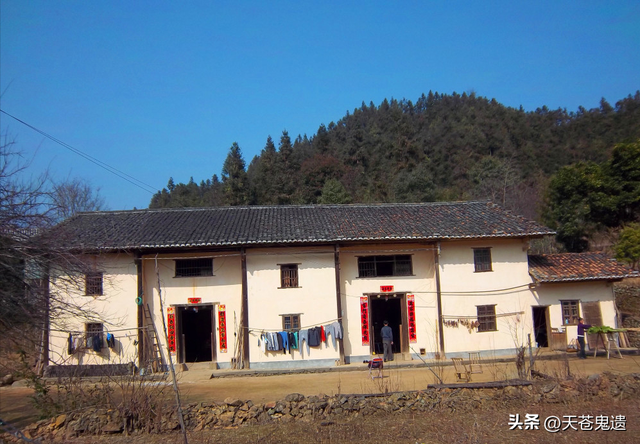 湖北24岁校花被裸身囚禁，与蛇同住场面污秽，幕后黑手曝光引众怒