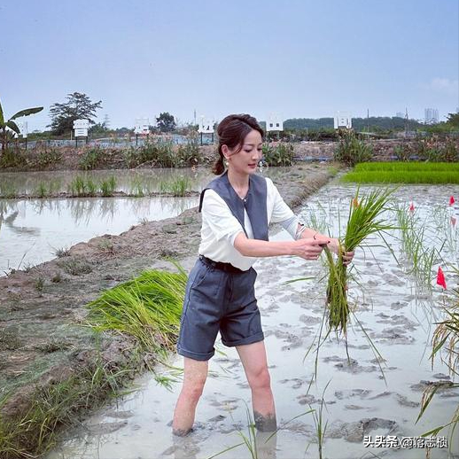 9个大美女，是央视各频道的“当家花旦”，最性感的是“六公主”