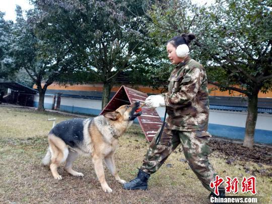 巾帼不让须眉 美女宠物店长“变身”成为警犬训导员