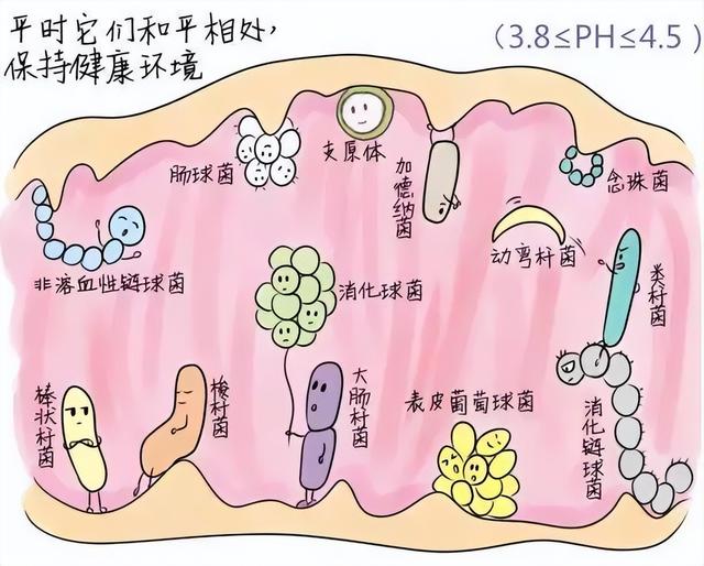 女性须知：关于阴道，建议你了解4个正经冷知识，别再不好意思了