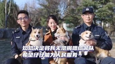 “请叫我福sir！”全国首只“柯警官”最新训练场面大公开