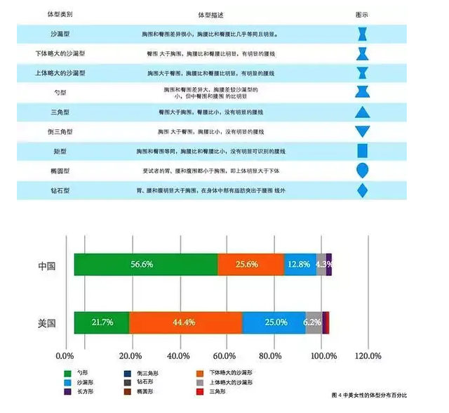 健身女士的臀部，为什么大都是明显的左右两瓣？