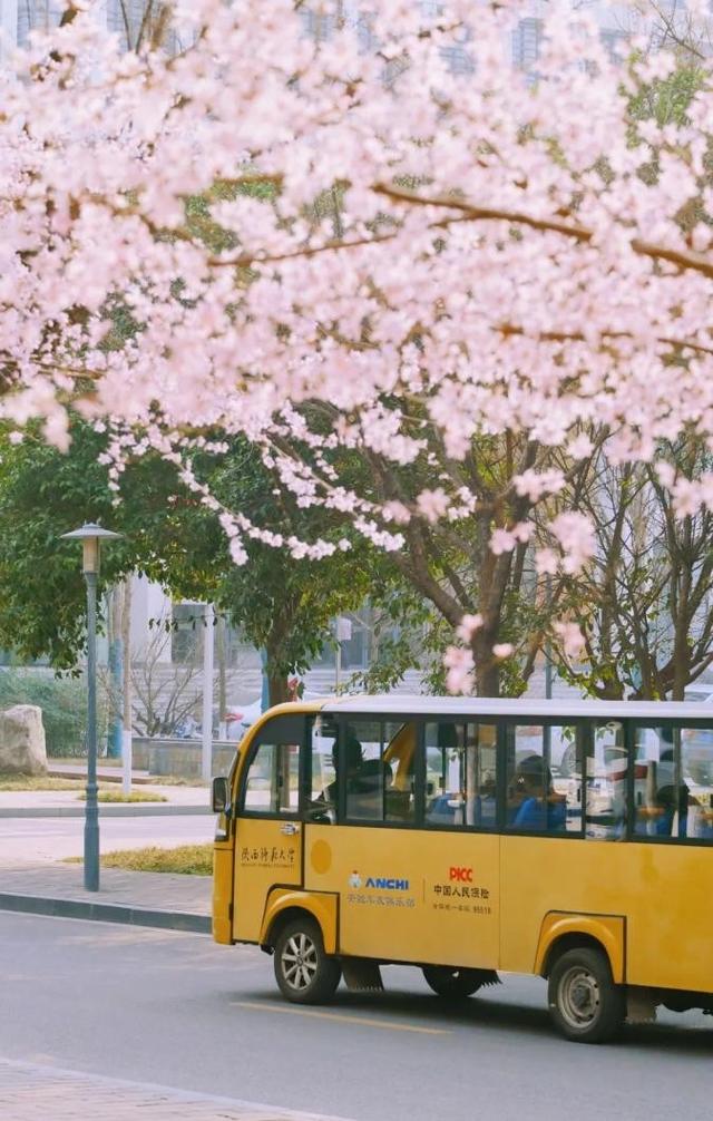 神仙颜值！陕西师范大学“最美校花”惊艳亮相，高清大图最新曝光！